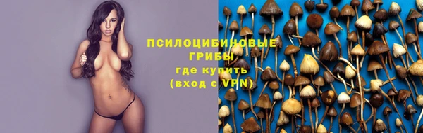 ALPHA-PVP Медвежьегорск