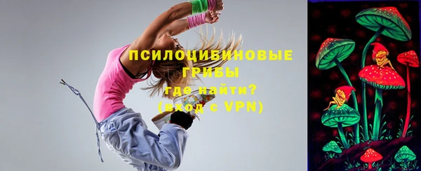 ГАЛЛЮЦИНОГЕННЫЕ ГРИБЫ Медногорск