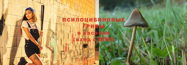 ALPHA-PVP Медвежьегорск