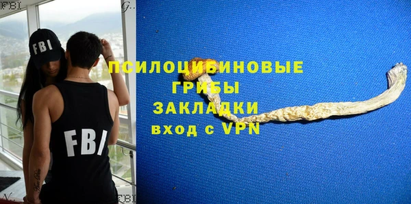 ГАЛЛЮЦИНОГЕННЫЕ ГРИБЫ Медногорск